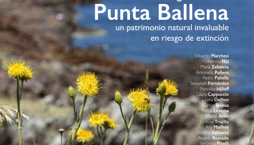 Flora & Vegetación de Punta Ballena un patrimonio natural invaluable en riesgo de extinción