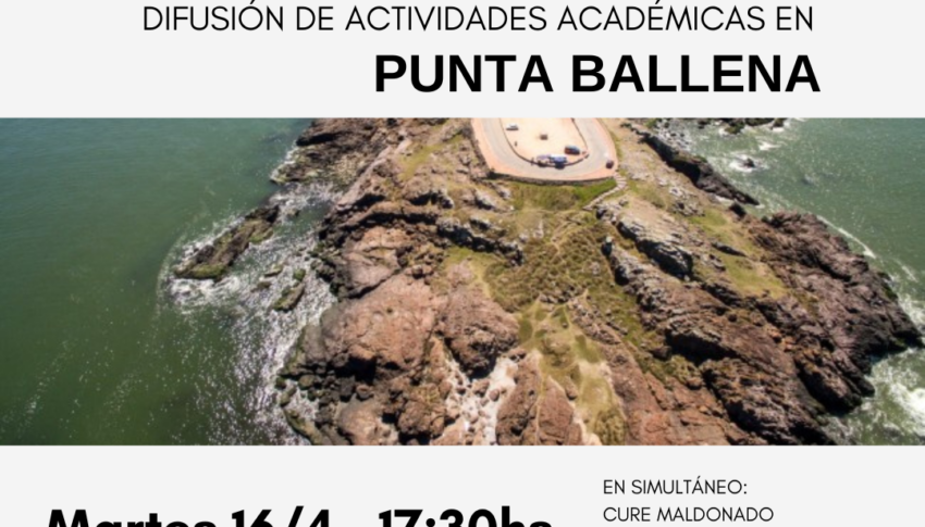 Difusión de actividades académicas en Punta Ballena: Un encuentro multidisciplinario para explorar su entorno