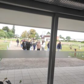IMG_20250521_095626