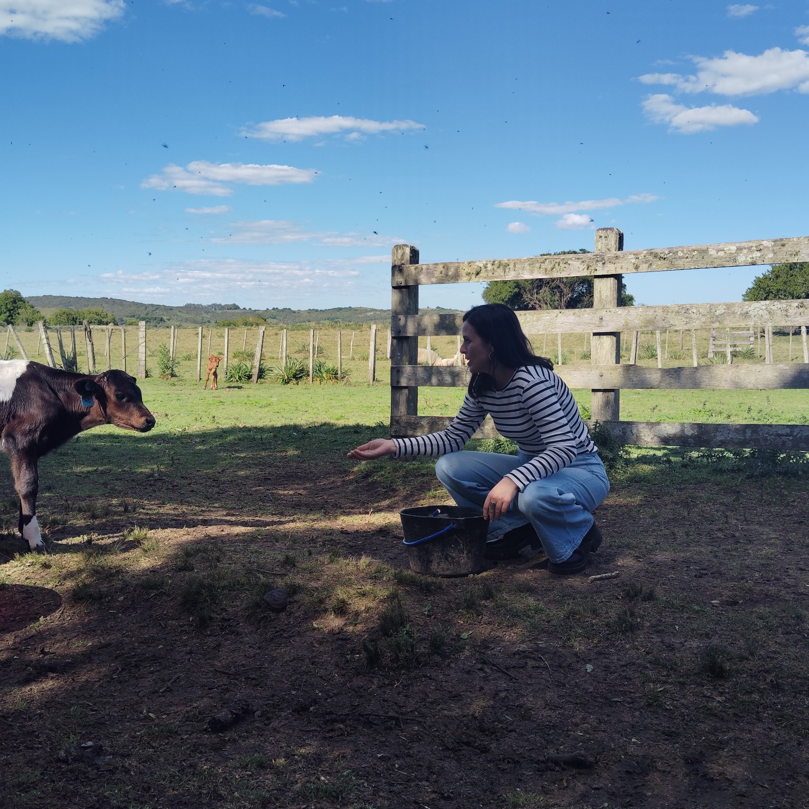 WhatsApp Image 2025-11-10 at 5.15.03 PM (2)