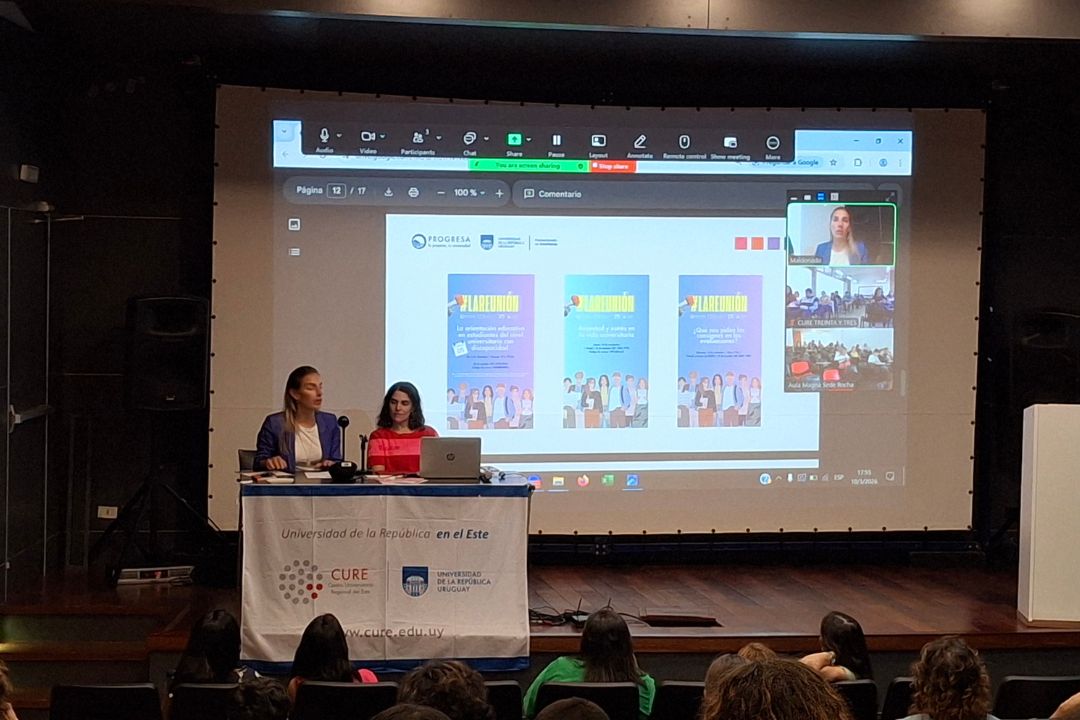 _IMAGENES PARA WEB - TAMAÑO OK (NO MODIFICA DIMENSIÓN 1080 x 729)