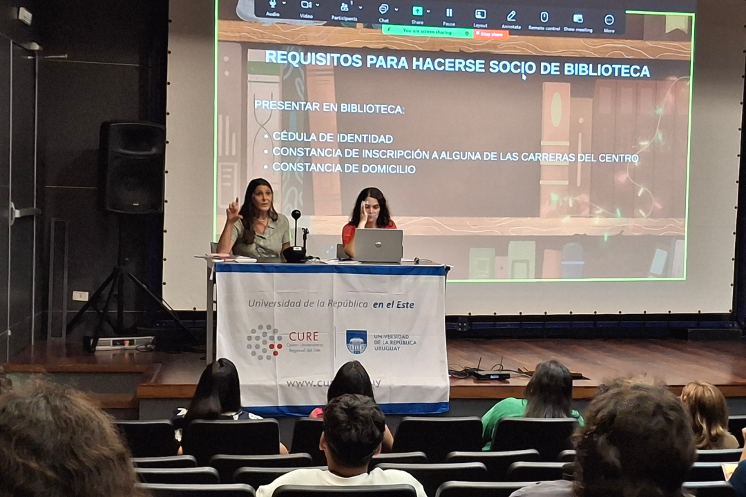 _IMAGENES PARA WEB - TAMAÑO OK (NO MODIFICA DIMENSIÓN 1080 x 729)